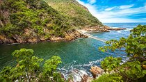 Epic Tsitsikamma Tour: Zipline & Storms River Mouth