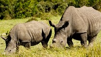 Wild Wonders: Kragga Kamma Game Park from Port Elizabeth