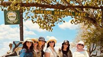 3 Days and 2 Nights Mikumi Private Safari Adventure