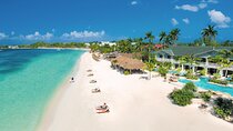Negril 7 Mile Beach Ricks Café and Shopping Tour from Montego Bay