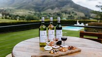 Franschhoek Wine & Stellenbosch Town Full Day Tour