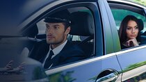 Private Miami Hotels Transfer to Airport 