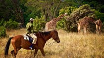 Private Day Trip to Lake Duluti – Paddle and Ride in Nature