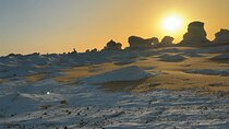 Western desert Safari white&black desert (3 Days,2 Nights)
