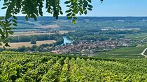 Moet et Chandon Veuve Clicquot Private Champagne trip from Paris