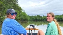Mangrove Boat 