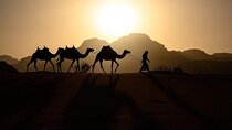 Elite Transfers : Queen Alia Airport to Any Destination in Jordan