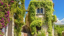 Wine Tasting, Provencal Market, Cannes and St Paul de Vence