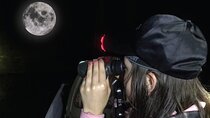 Mangrove Night Tour