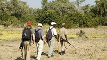 Private Tour in Arusha National Park