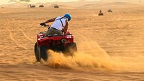  Morning or Afternoon Quad Safari with Transfer In Hurghada