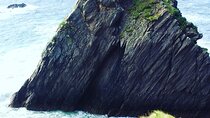 Cliffs of Moher & Bunratty Castle Day Tour