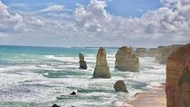 Small group Great Ocean Road Reverse & Wildlife spotting