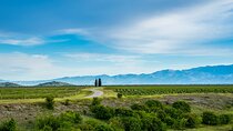 Full Day Private Podgorica Wine Tour Experience