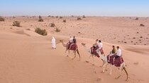 Dubai Frame and Desert Safari with Dinner Combo 