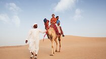 Desert Safari with BBQ dinner Camel Ride and Live Show 