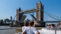 Tower Bridge River Sightseeing Cruise from Westminster