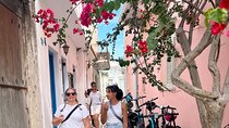 Naxos Private / Semi Private E-Bike Guided Tour Inland Methexis
