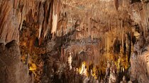 From Polignano - Cave Tour Between Land and Sea 