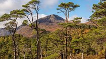 Meandering Through The Highlands of Scotland (West)