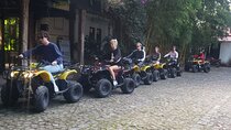 Guided Tour of Coffee Plantation