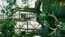 The Green Planet Dubai Tickets with Transfers Option