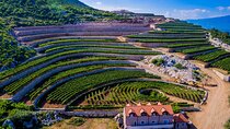 Private Wine Tasting Activity at Lipovac Winery