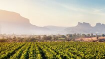 Full-Day Private Wine Tour at Sula Vineyards from Mumbai