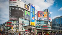 Toronto’s Romantic Private Tour: Bustling Squares to Serene Parks