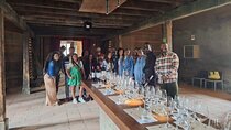 Full Day Private Colchagua Wine Tour from Santiago 