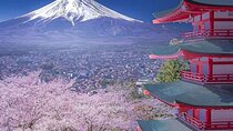  Mt. Fuji & Hakone VIP One Day Tour With Pick-up & Drop-off 