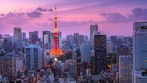 2-Day Private Tokyo MT Fuji Hakone Sightseeing Tour with Guide