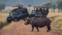 Full Day Private Adventure in Tarangire National Park