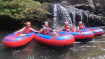 Tubing Bali Swing Tirta Empul Kanto lampo Waterfall Private Tour