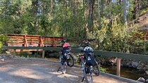 E-Bike Salmon Adventure