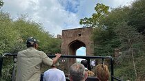 Two Night Safari Experience Ranthambore National Park &Transfers