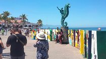 Private City Tour & Tequila Tasting