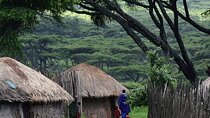 7 Days Tanzania Culture and Wildlife Experience from Nairobi 