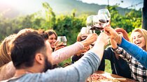 Wine & Food Tasting on Etna's Winery Private Tour