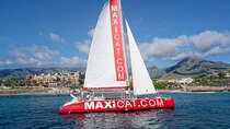 Tour with Whale and Dolphin Watching plus food included