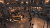 Two Smithsonian Museums Private Tour: American & Natural History