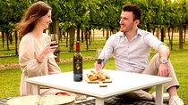 Picnic and Wine Tasting Experience in the Barossa Valley