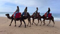 Tangier Tour from Casablanca by High Speed Train