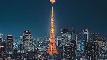  Tokyo City Attractive One Day Tour 