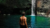 Ubud : Waterfall, Temple & Rice Terrace Guided Tour