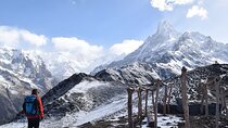 Pokhara Private Tour 4 Day Mardi Himal Base Camp Trek