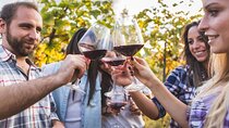  Private Full-Day Tuscan Wine Tour: 3 Wineries: Lunch & Tastingss