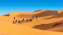 3 Day Tour from Marrakech to Merzouga with Camel Ride Included