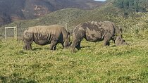 2 Days Garden Route Experience