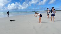 Private Charles Darwin Station Tour &Tortuga Bay Beach with lunch